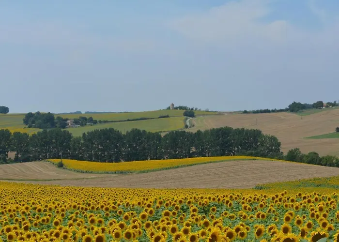 Moulin De Salles Mas-d'Auvignon