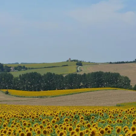 Moulin De Salles Mas-d'Auvignon