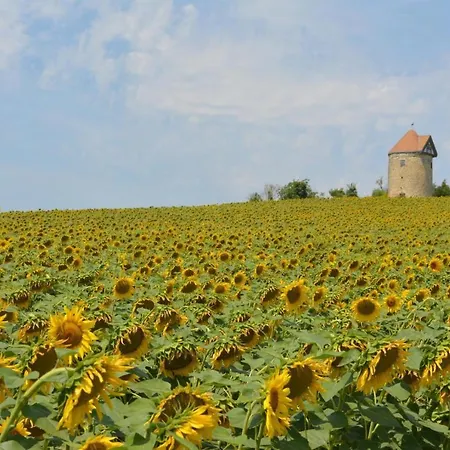 Holiday home Moulin De Salles *