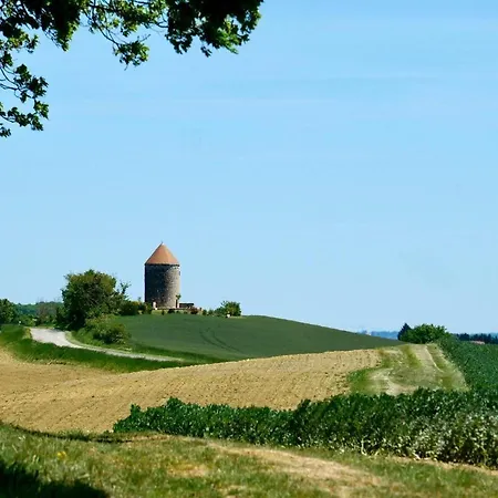 Holiday home Moulin De Salles Mas-d'Auvignon
